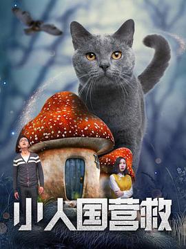 国产精品久久久久久户外露出